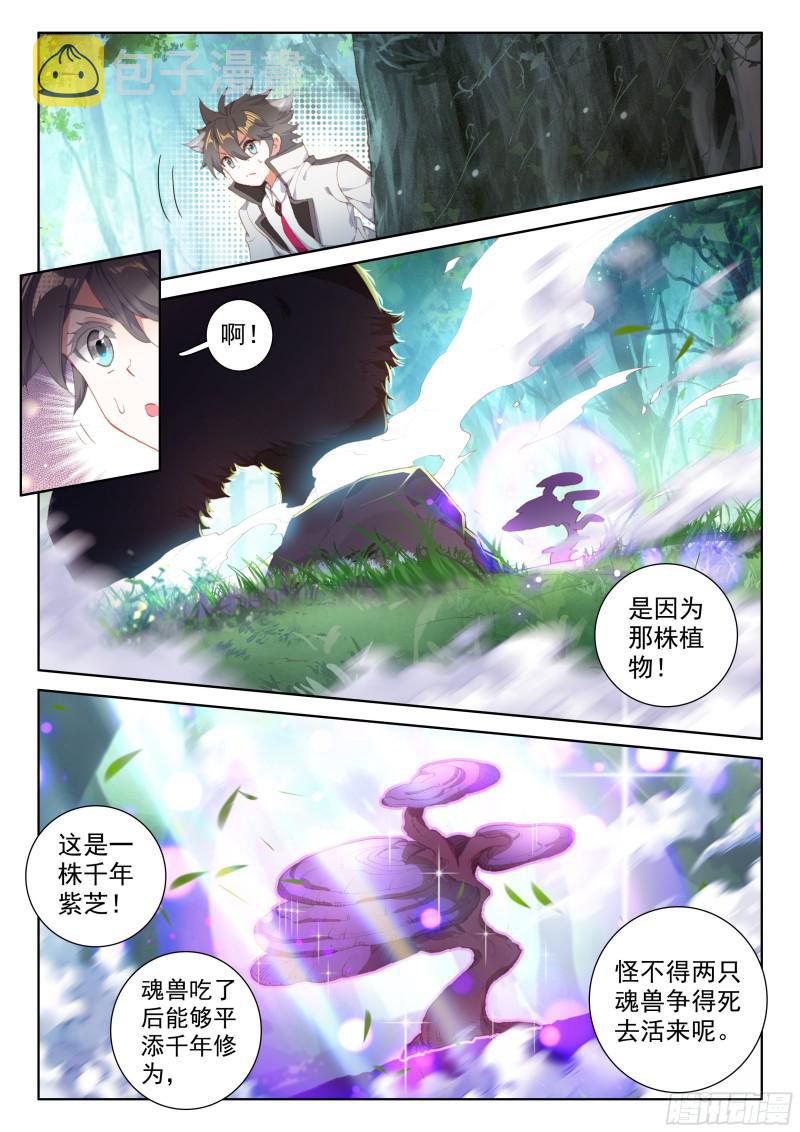 千年紫芝5