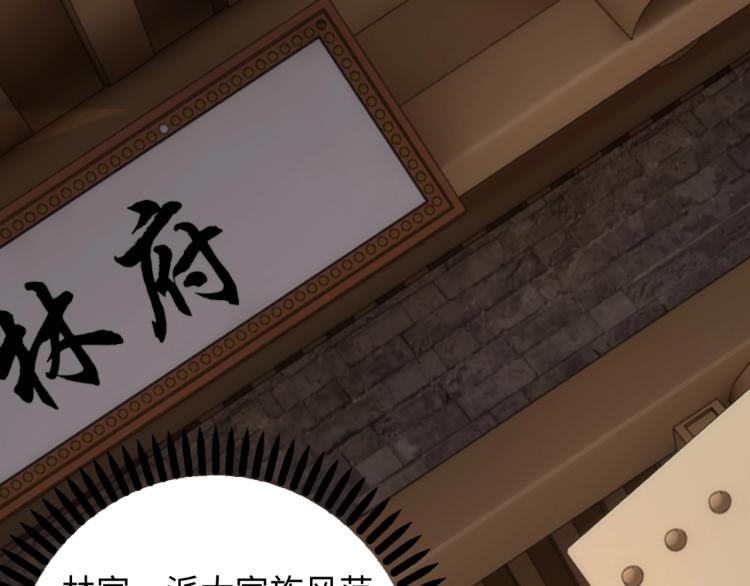 第4话 林家风波42
