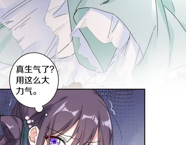 第25话 太子妃晕倒了！？20