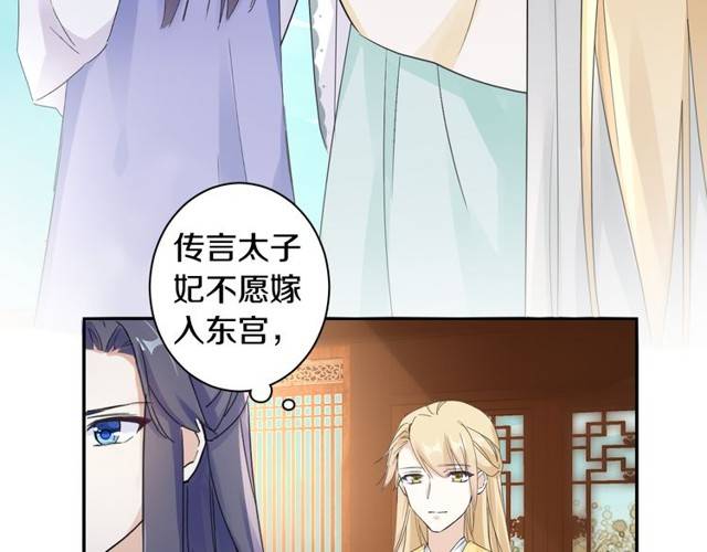 第25话 太子妃晕倒了！？15