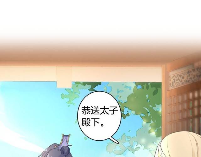 第25话 太子妃晕倒了！？13