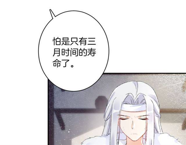 第二季第7话 和你一起去南疆30
