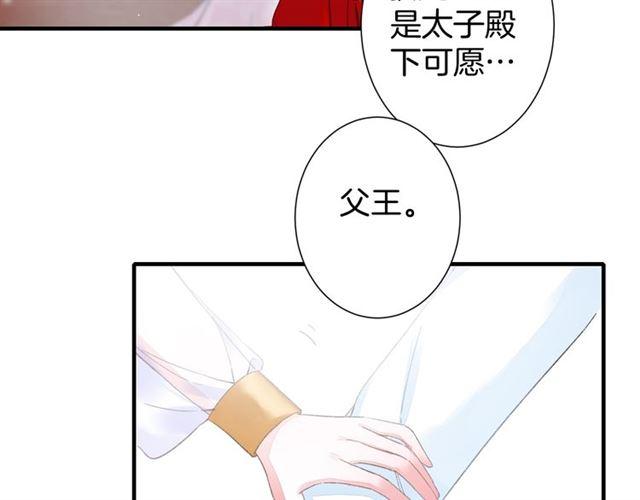 第17话 与南疆公主的婚约？33