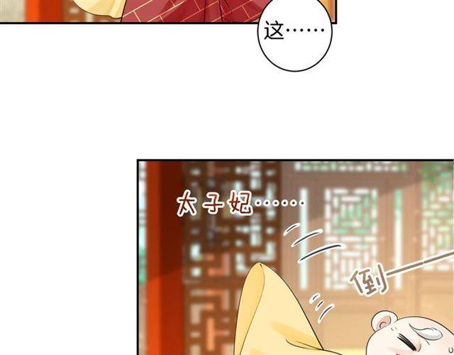 第25话 太子妃晕倒了！？1