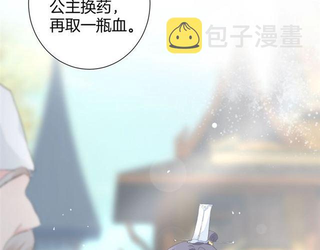 第17话 与南疆公主的婚约？9