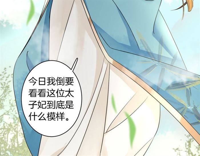 第14话 太子妃怎么谁都想见？9