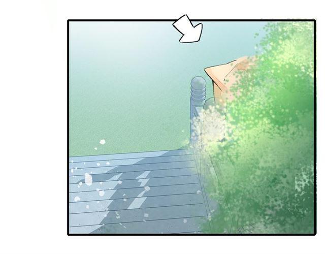 第17话 与南疆公主的婚约？79