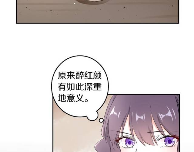 第21话 醉红颜的由来29
