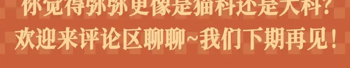 第46期 整活企划：弥弥被确诊为猫科动物！8