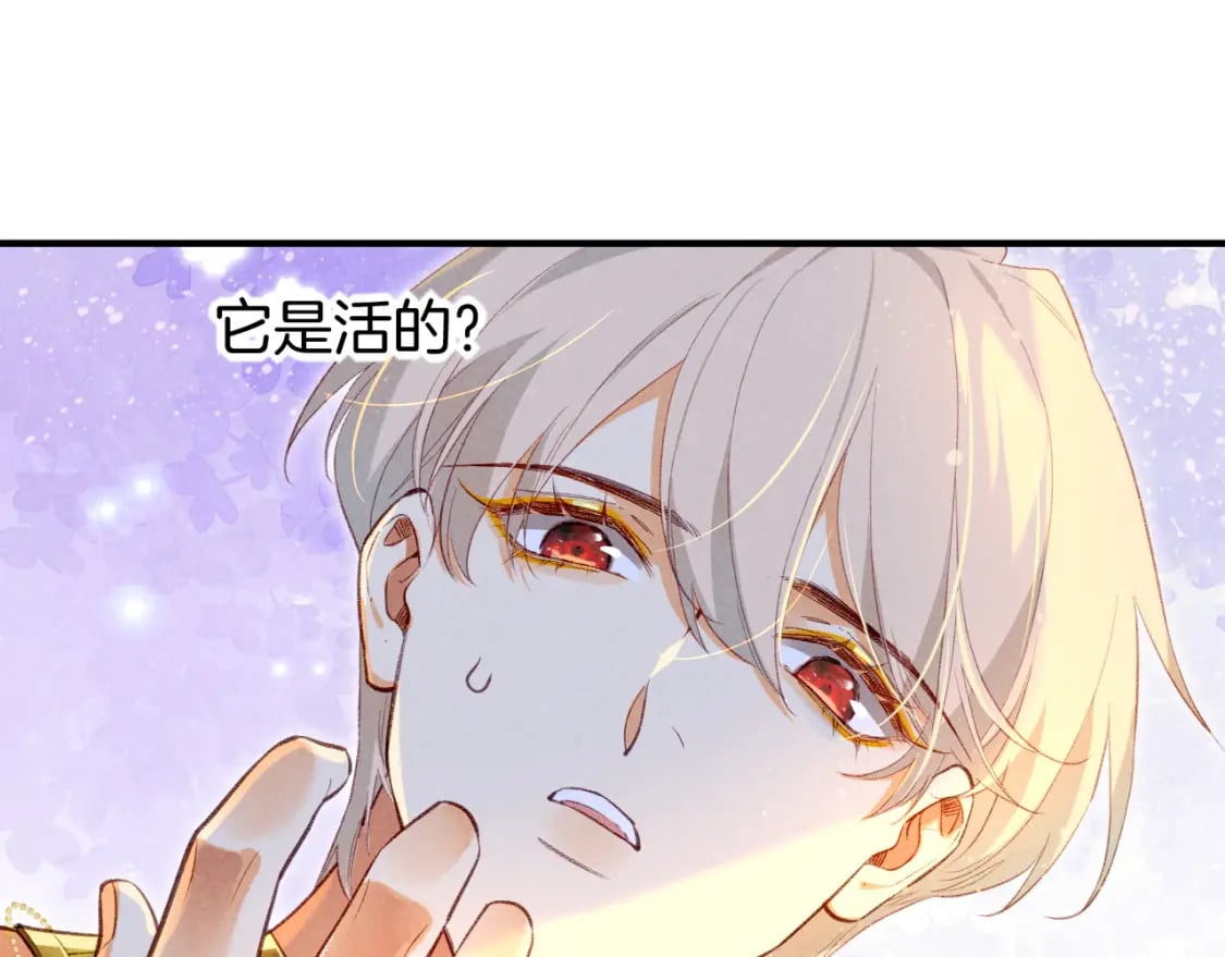 第47话 礼物111