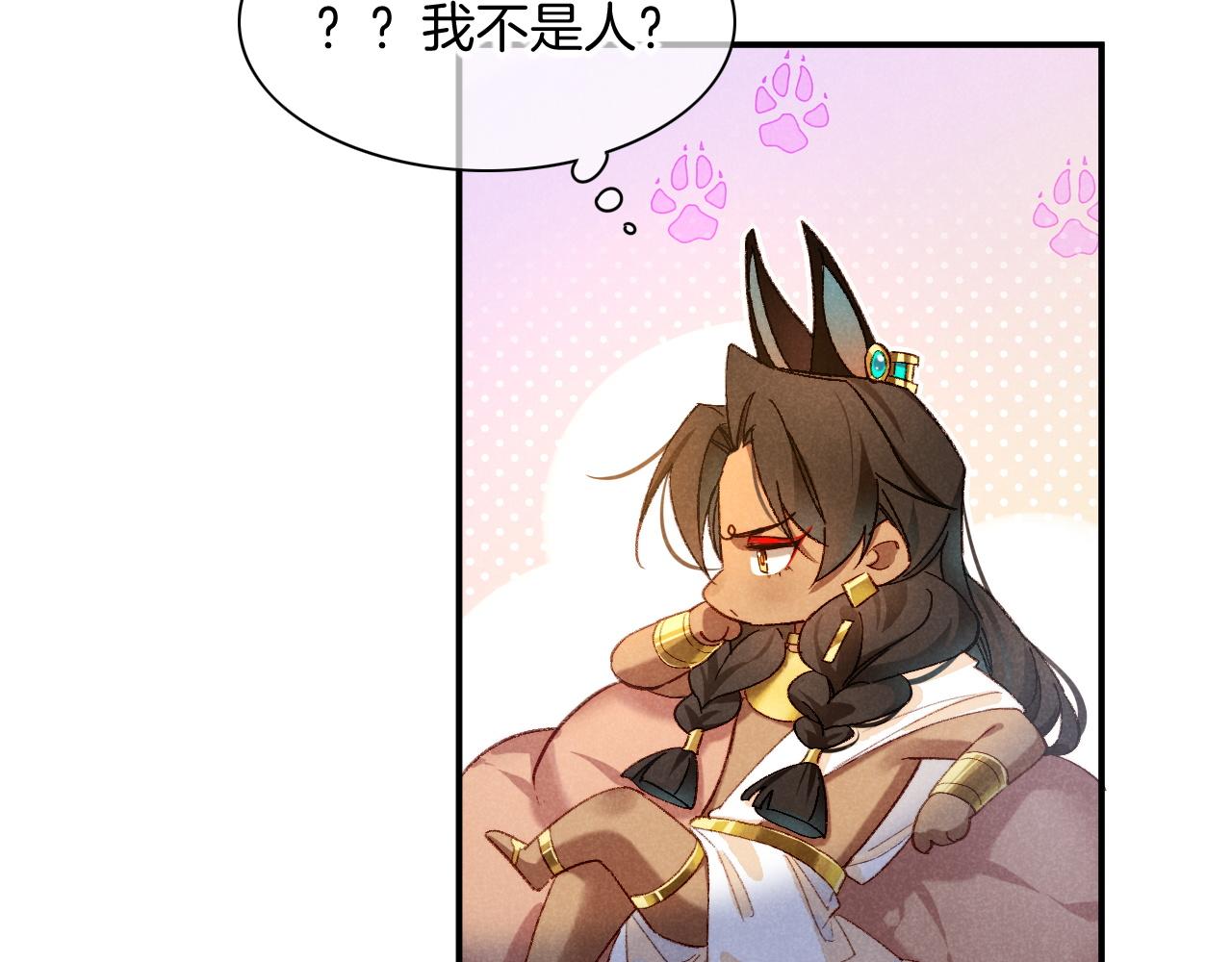 第14话 差异中的共性114