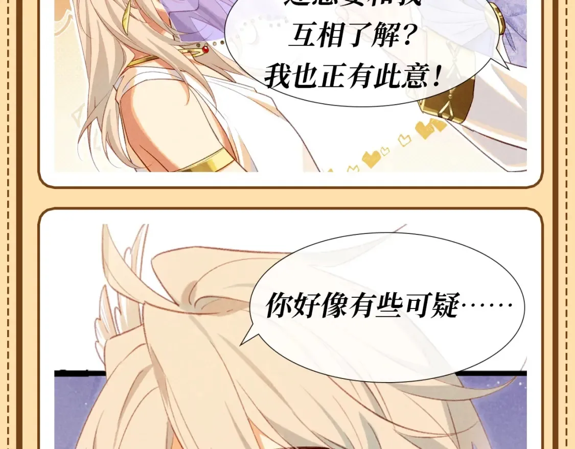 第58期 整活企划：张黎眼中的毛毯哥8