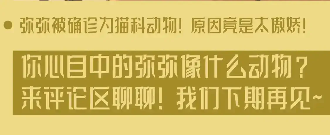 第43期 整活企划：提提：我们是什么随便的人么！9
