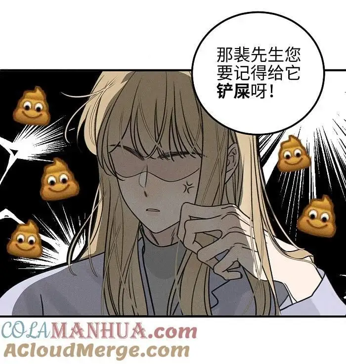 番外 裴心养猫记4