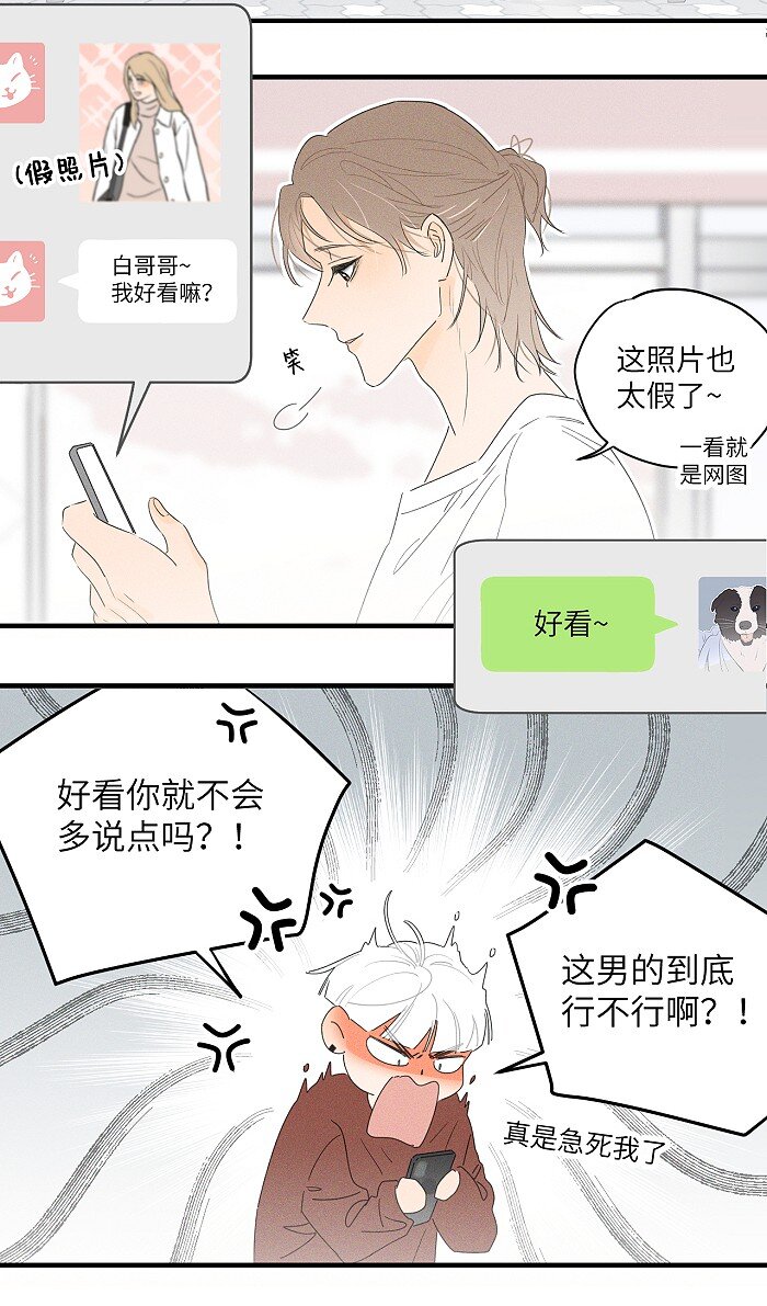36 篮球赛4