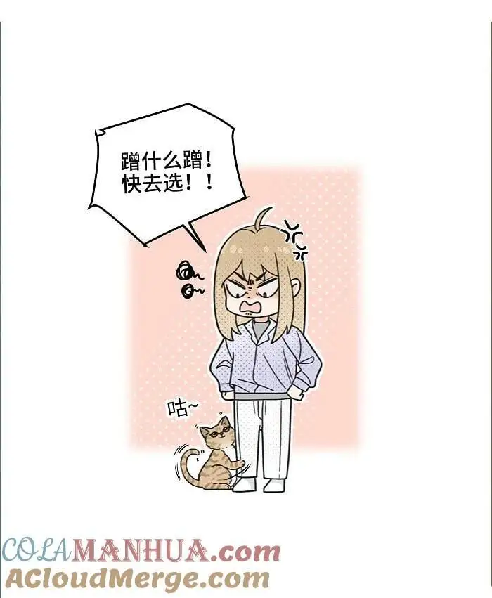 番外 裴心养猫记14