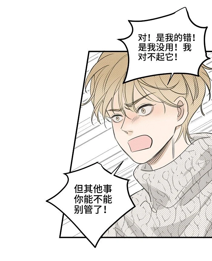 61 飞鸟15