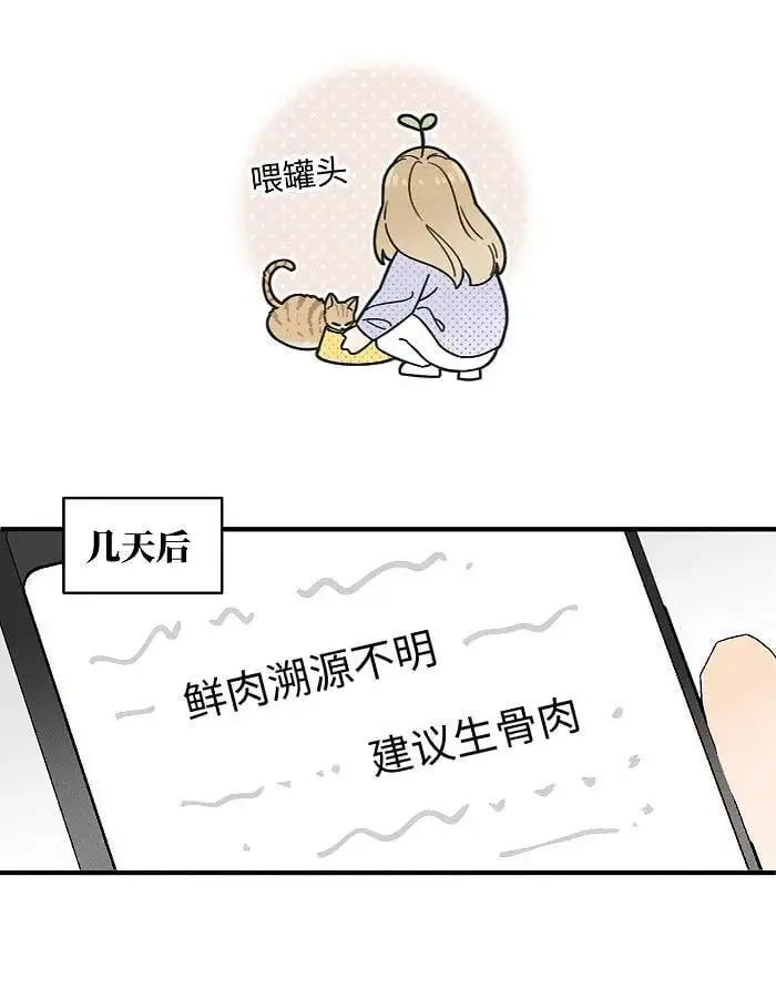番外 裴心养猫记9