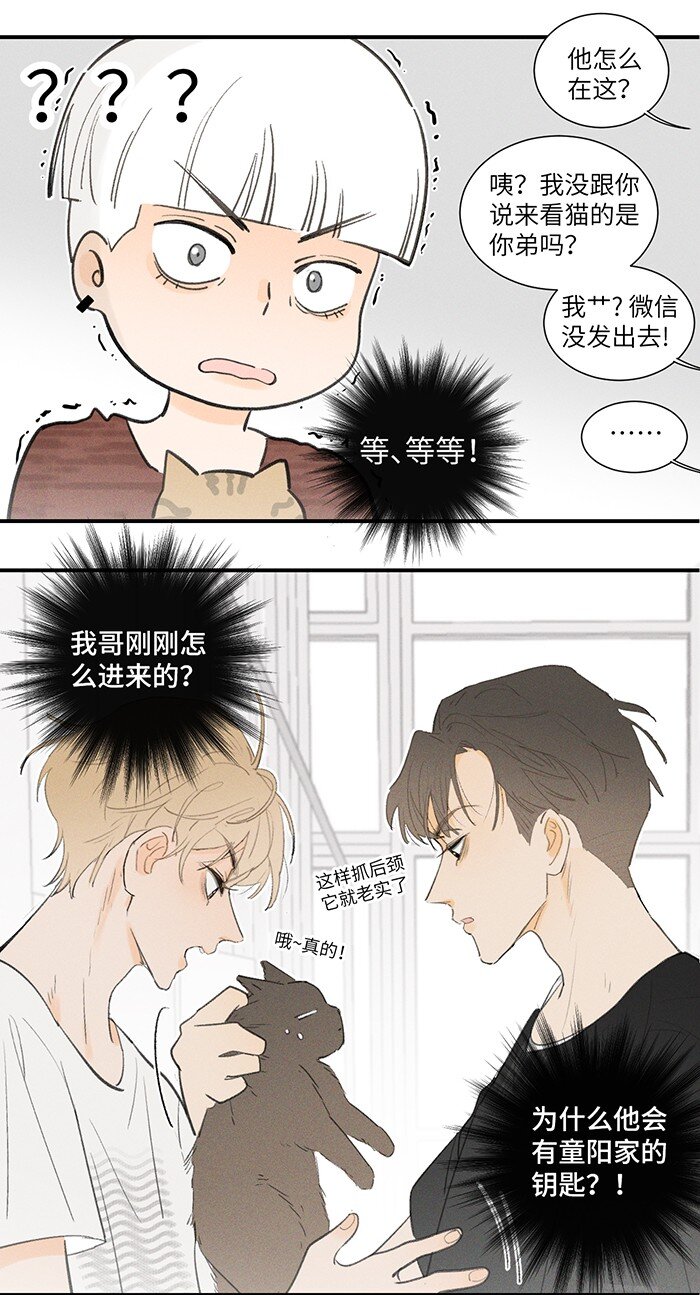 28 弟弟的误会12
