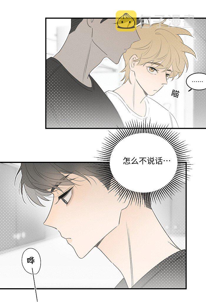 46 梯子我给了。12