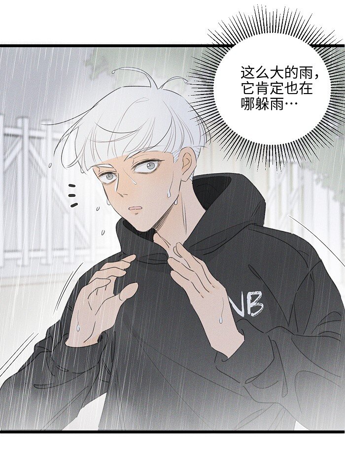 40 暴雨中的生日会23