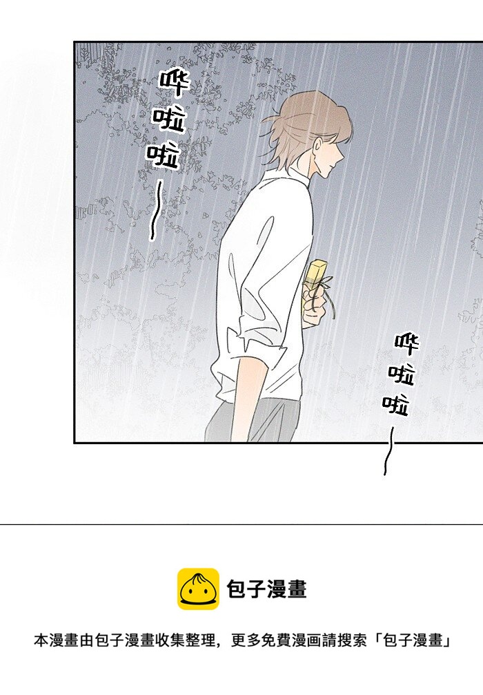41 家里白菜被拱了！12