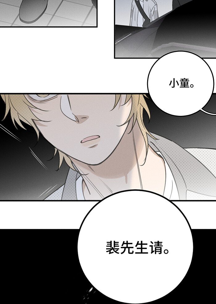 55 裴心5