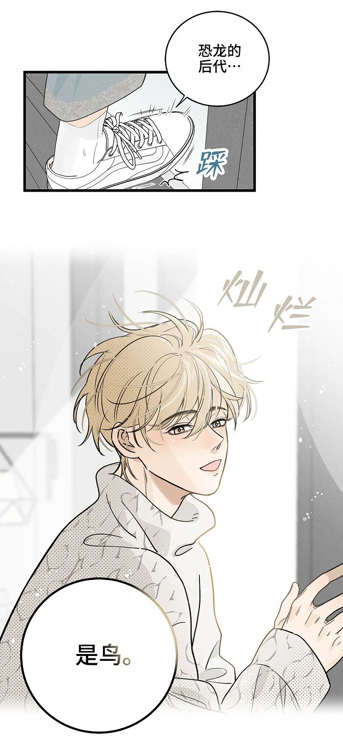 61 飞鸟32