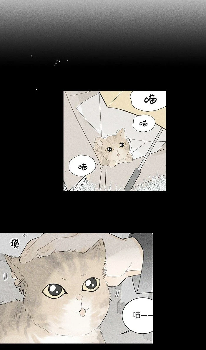 60 人生是一场场离别33