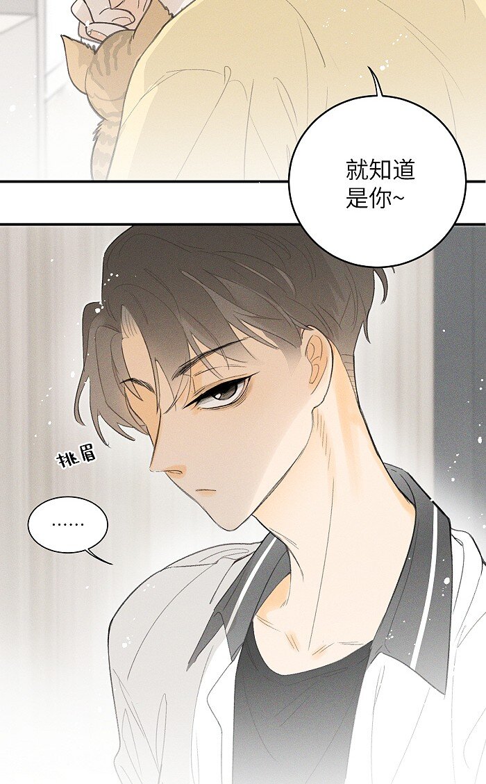24 领养22