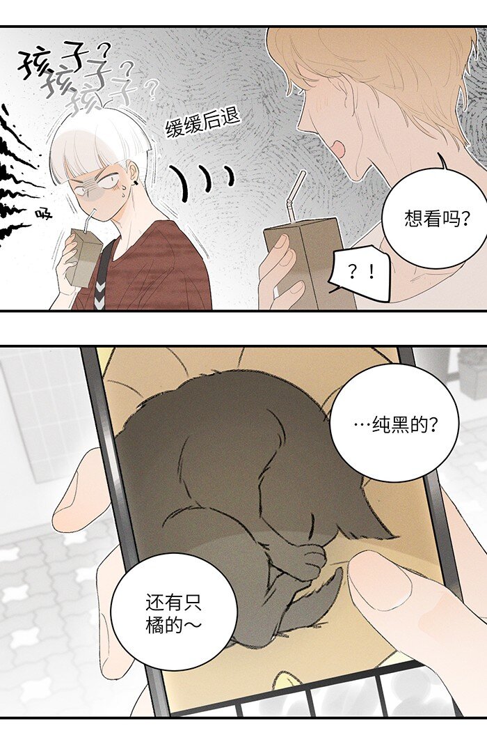 28 弟弟的误会5