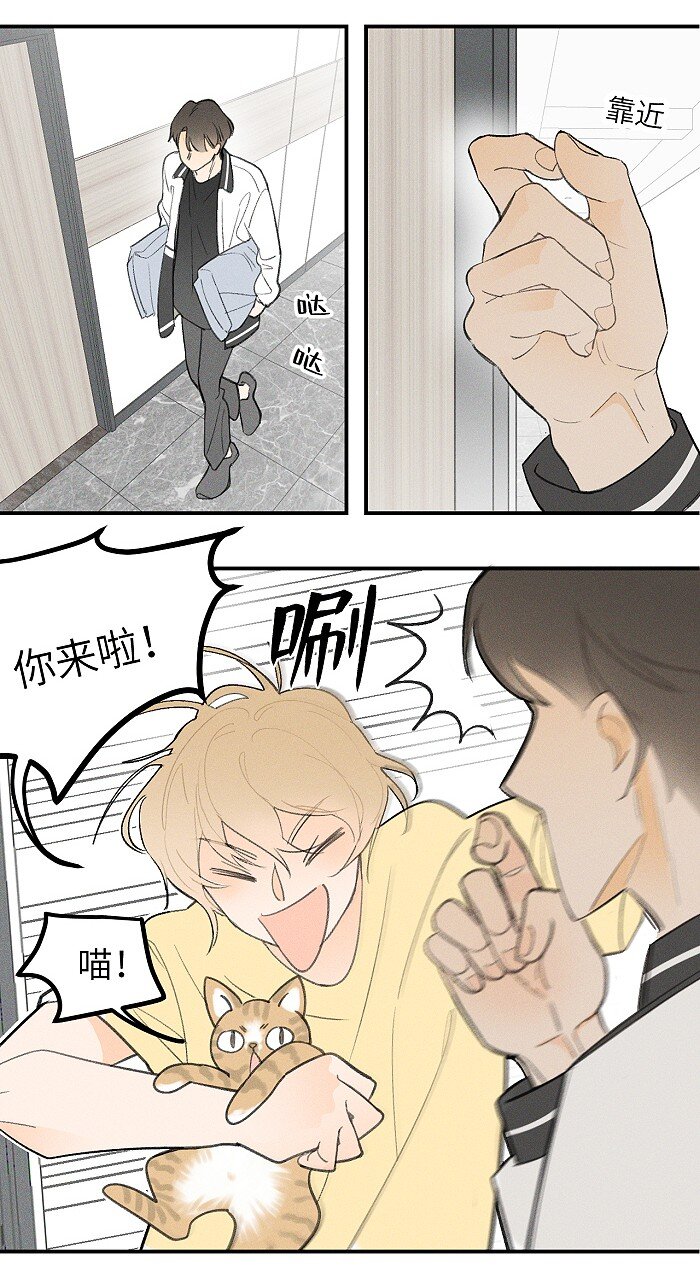 24 领养20