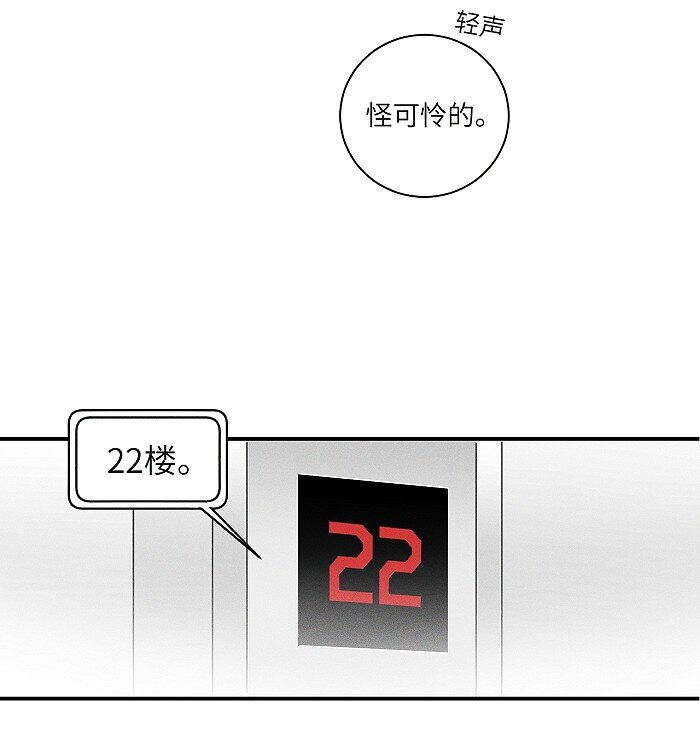 24 领养19