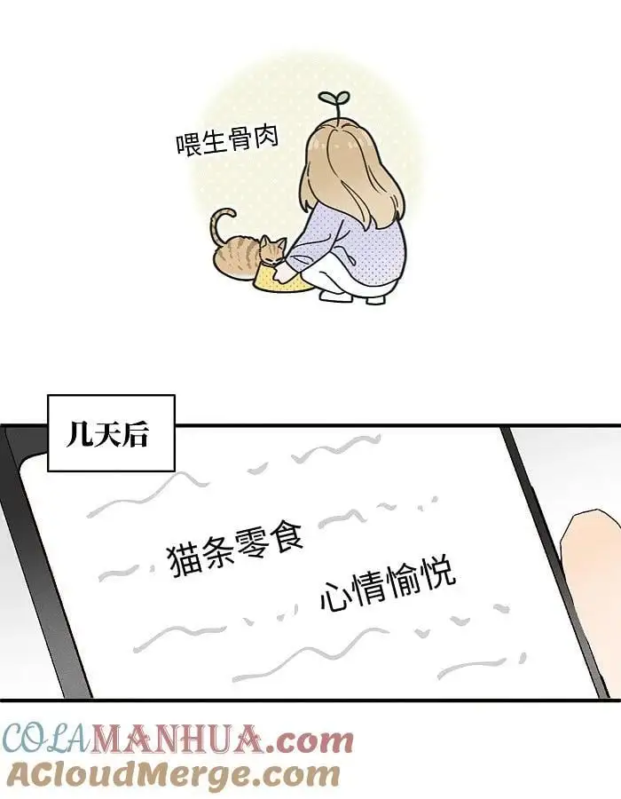 番外 裴心养猫记10