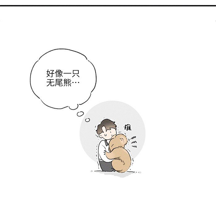 17 发烧7