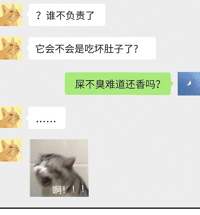 23 名字20