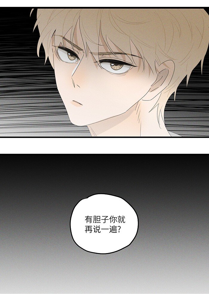 36 篮球赛22