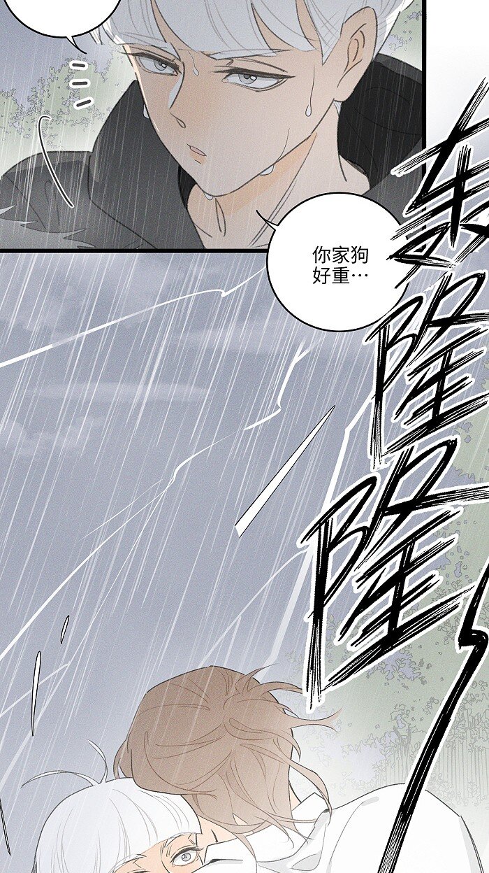 40 暴雨中的生日会29