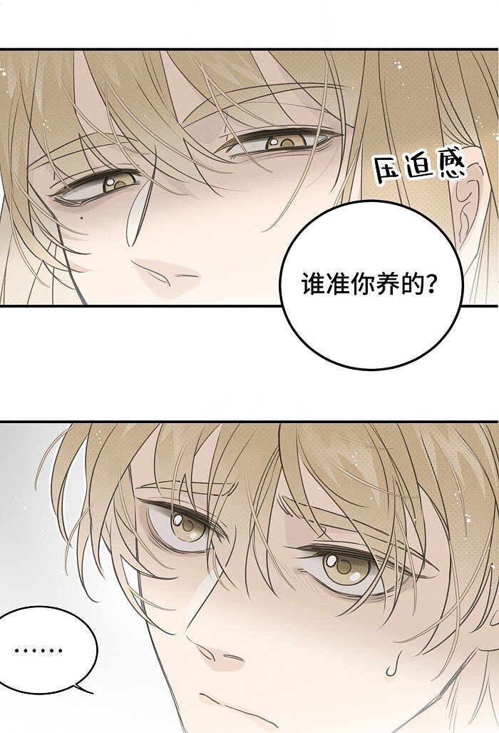 56 谁是萧真？8