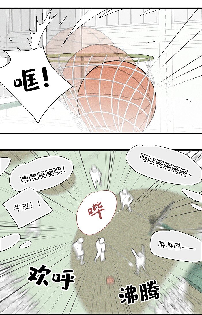 36 篮球赛18