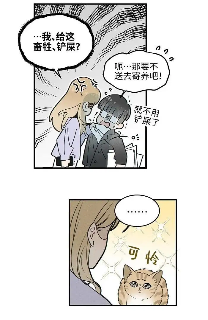 番外 裴心养猫记5