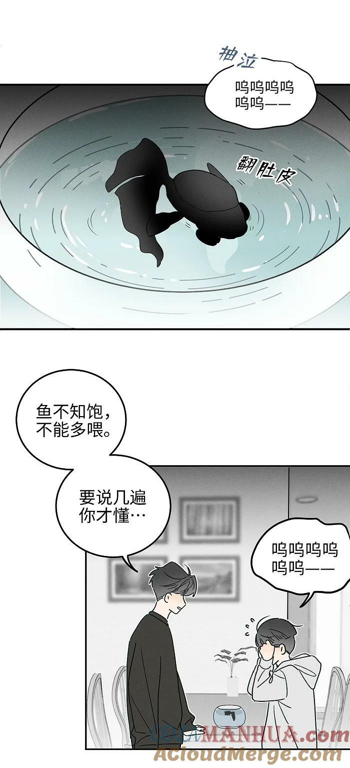 65 有好好哭过吗？26