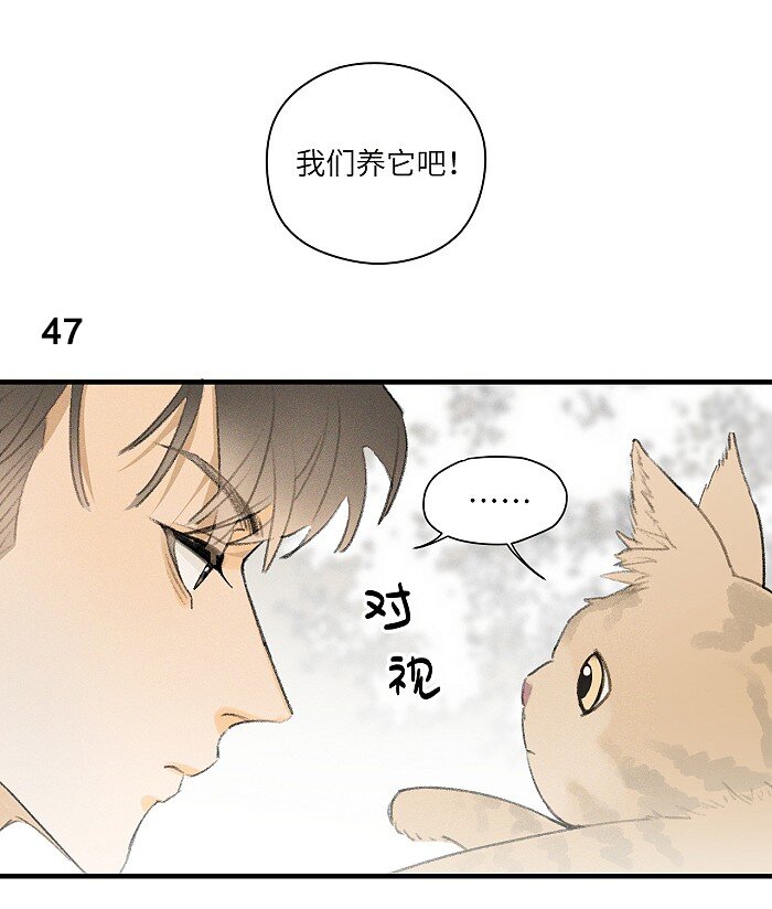 22 养猫2