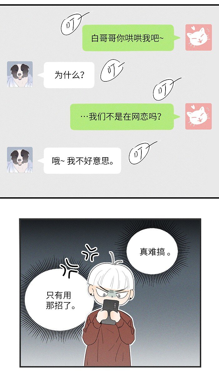 36 篮球赛5
