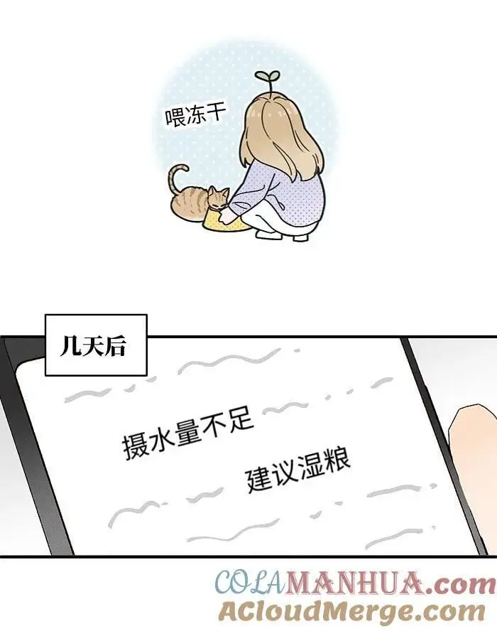番外 裴心养猫记8
