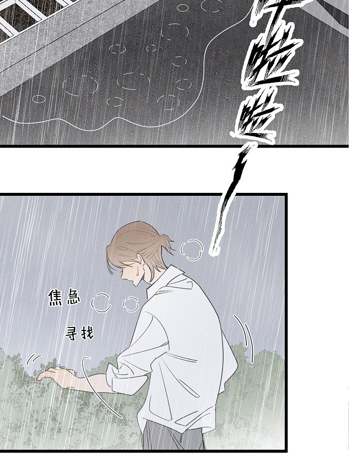 40 暴雨中的生日会25