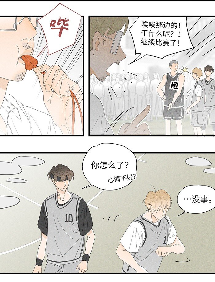 36 篮球赛23