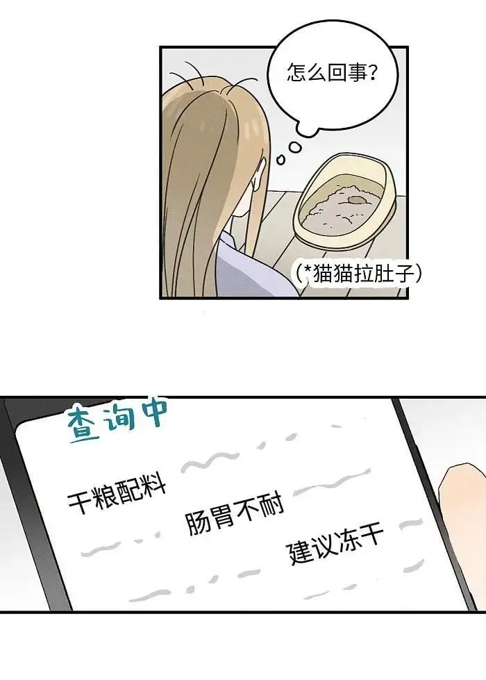 番外 裴心养猫记7
