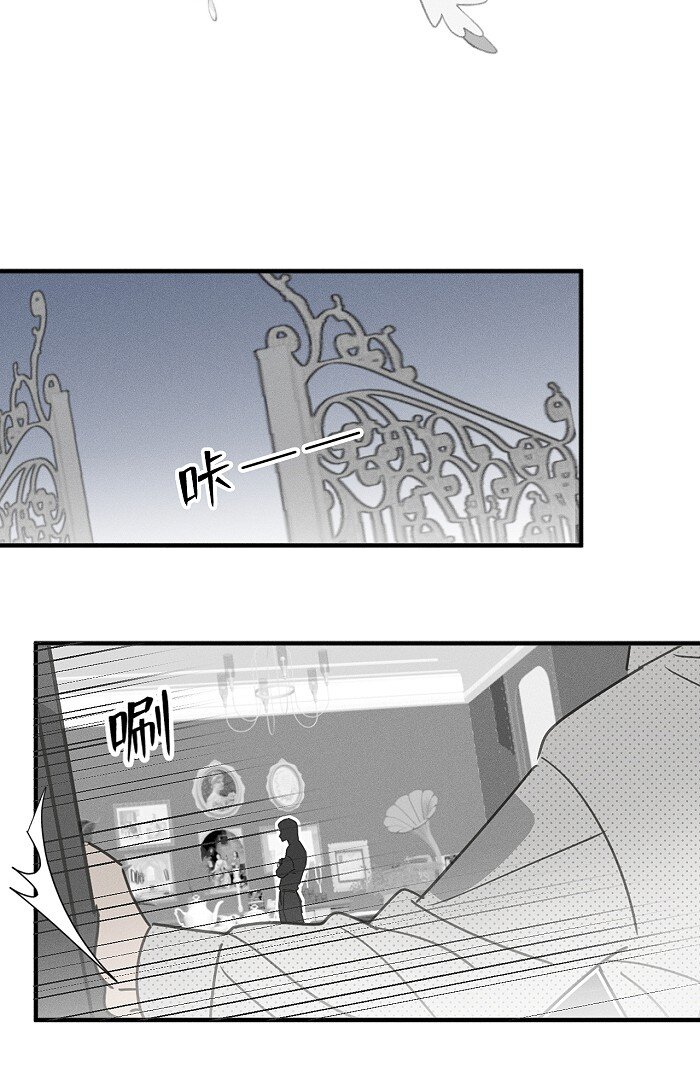 55 裴心23