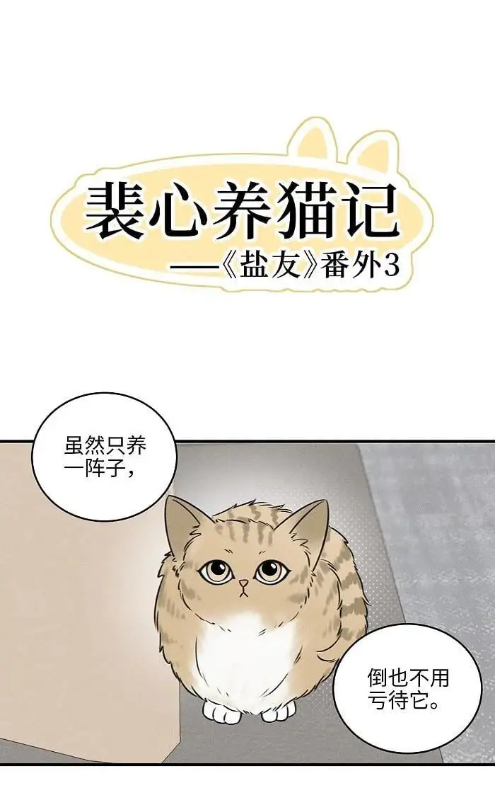 番外 裴心养猫记1